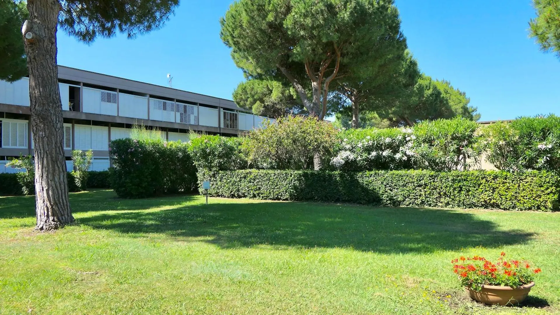 Apartment Isa-Holiday Homes With Common Swimming-Pool In Marina Di Bibbona From 400 To 900 Meters From The Sea Italy